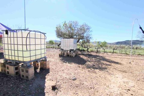 Landejendom i Caudete, Albacete, Caudete - € 149.950 | Ref: SF0574 - foto 25